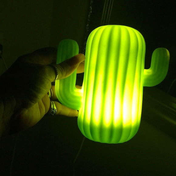 Other - LIGHT UP CACTUS